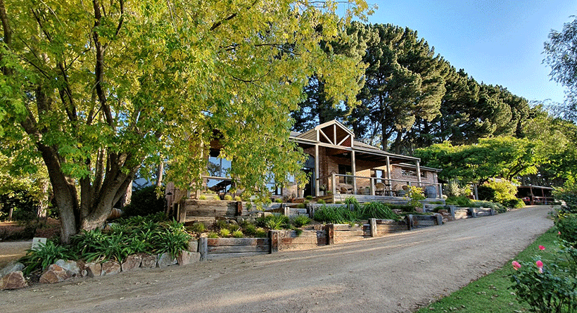 Main Ridge Estate Cellar Door